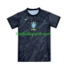 Tenue Brésil Copa America Gardien Exterieur 2024 Maillot de Foot